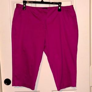 Worthington Modern Fit Knickers 16 Petite. Pink